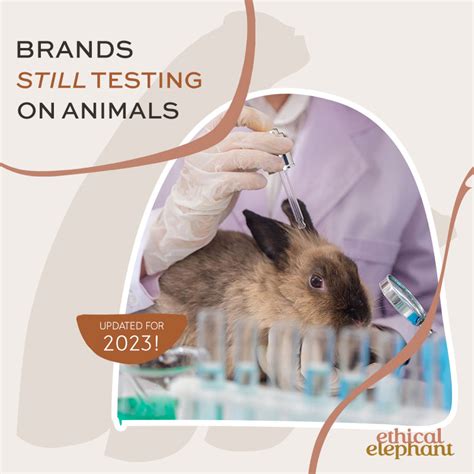 does chanel test on animals|chanel perfume animal testing.